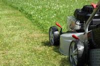 Lawn Mowing Altona image 3